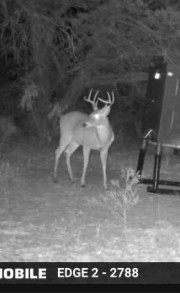 1 County Road 111 Hamilton, TX 76531 - Thumbnail 5