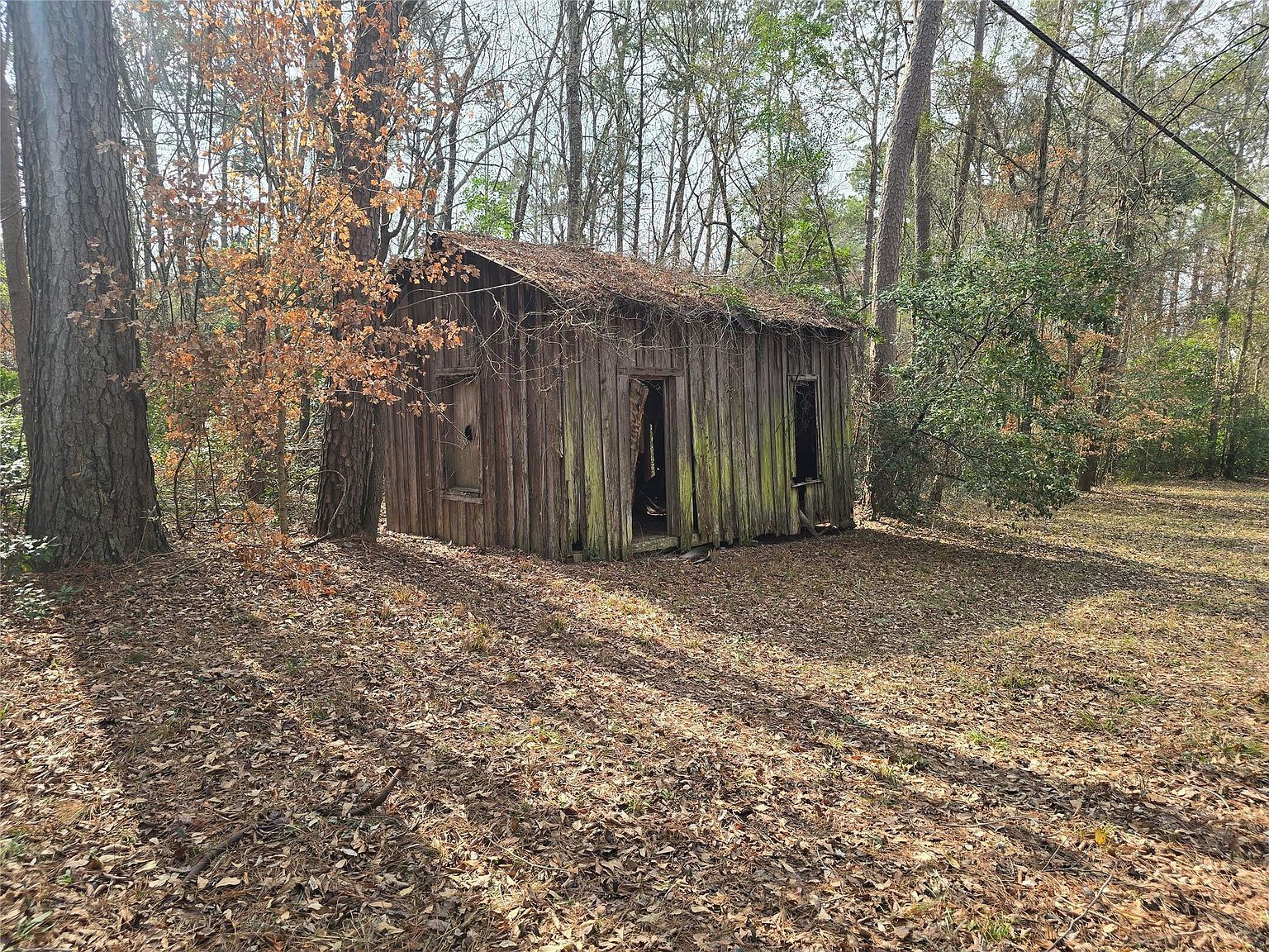 4025 State Highway 21 Hwy W Nacogdoches, TX 75964 - Thumbnail 5