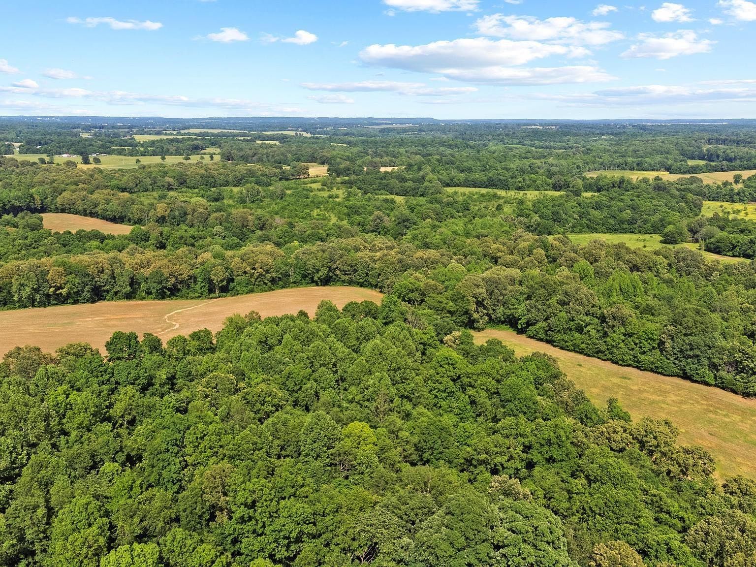 0 State Route 295 Marion, KY 42064  | Land/Lot