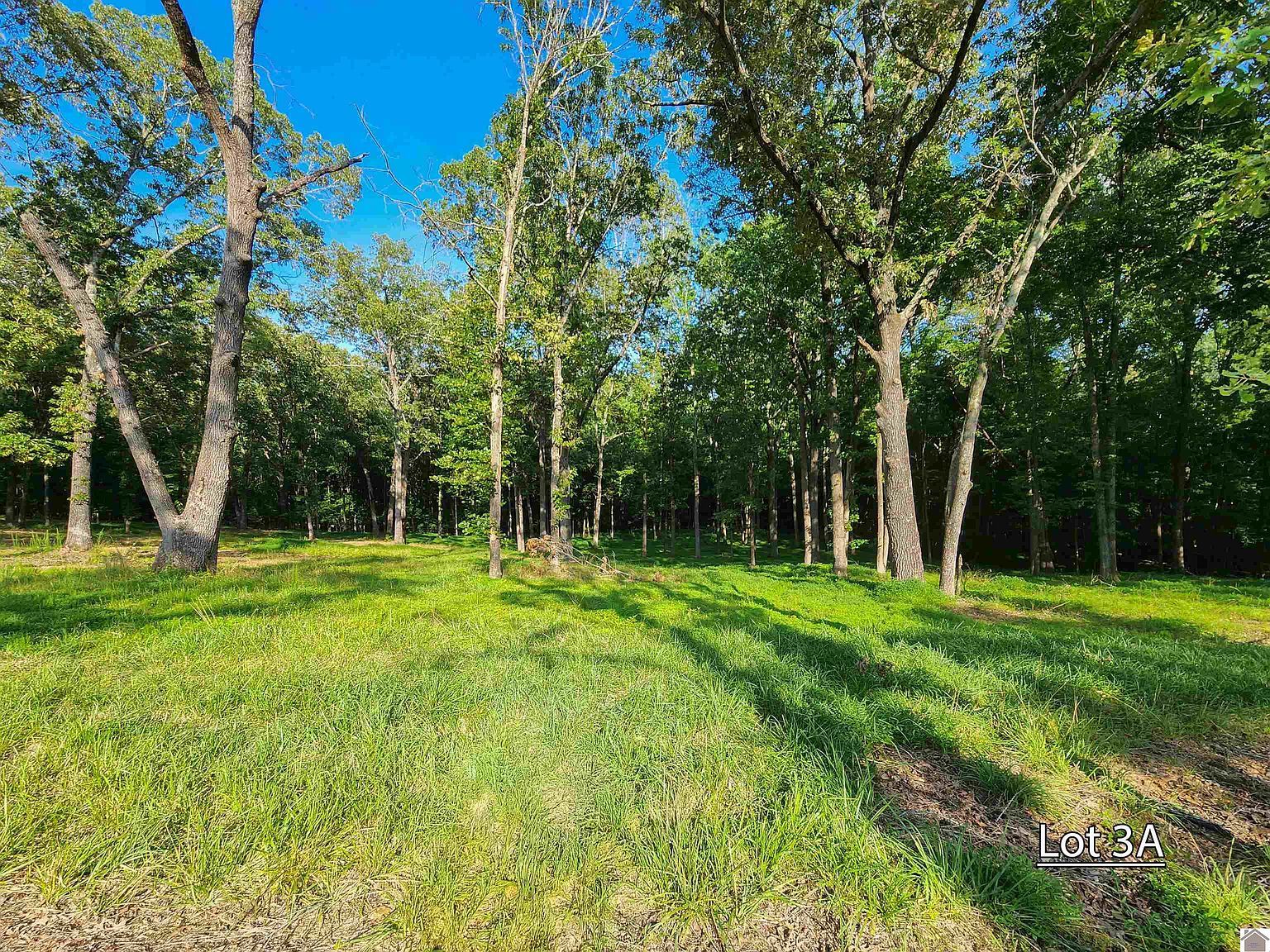 LOT 3A Serenity Vlg Benton, KY 42025 - Thumbnail 5