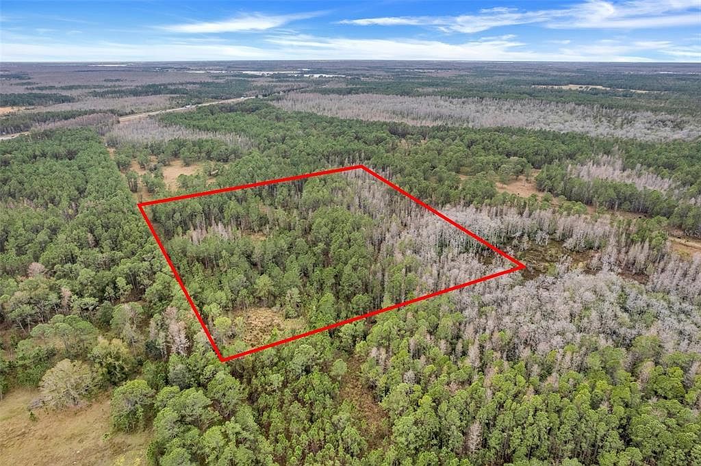 Unincorp Swfwmd #33 Polk City, FL 33868 - Thumbnail 5