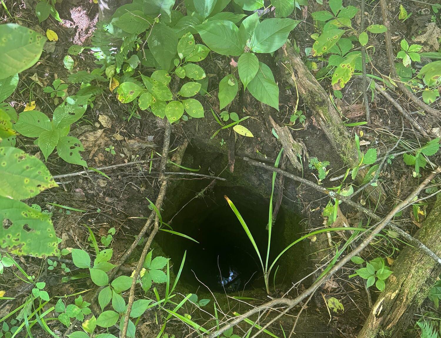 0 State Highway 1050 Jeffersonville, KY 40337 - Thumbnail 5