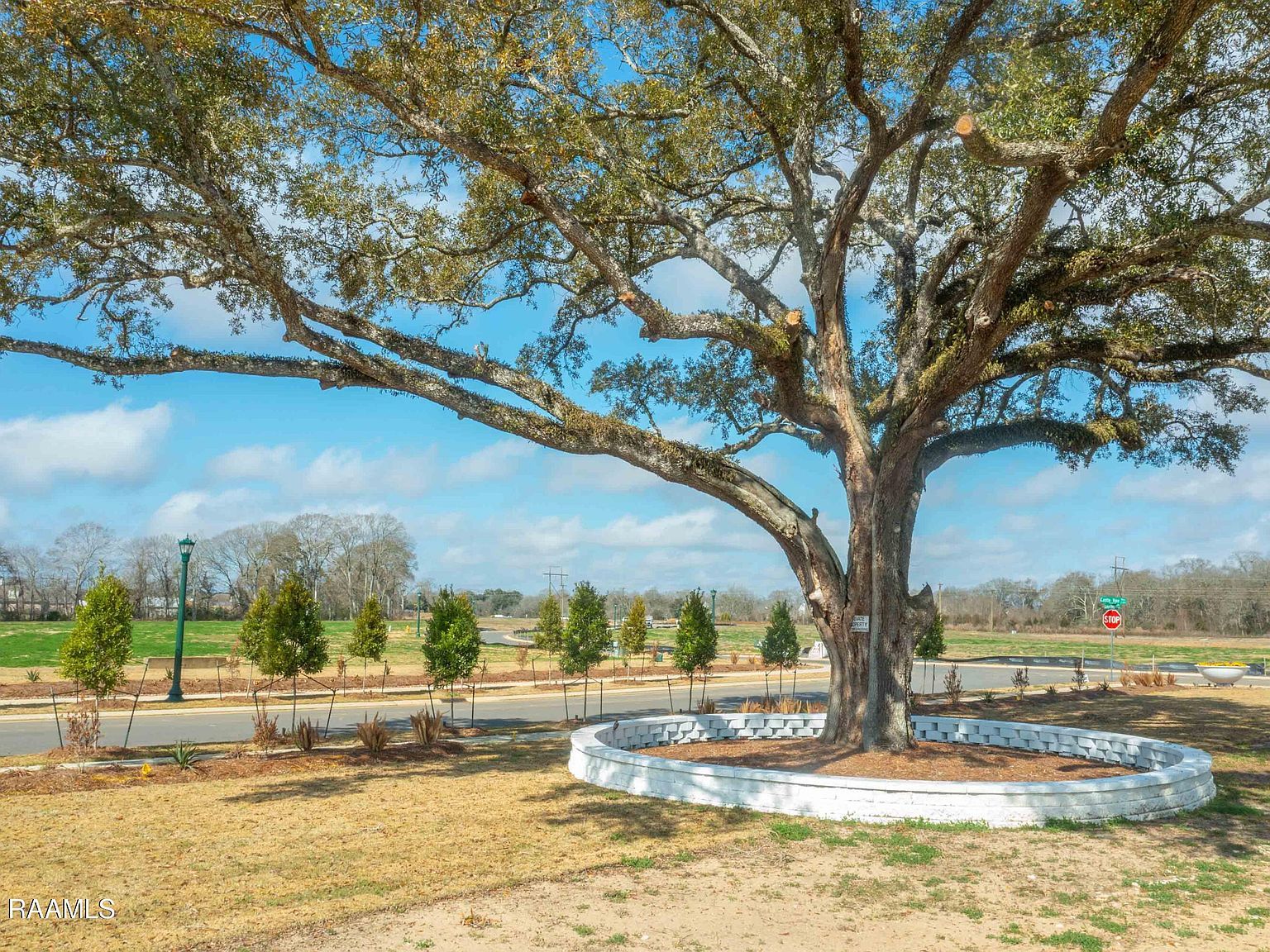 118 Castle Vine Way Lafayette, LA 70508 - Thumbnail 5