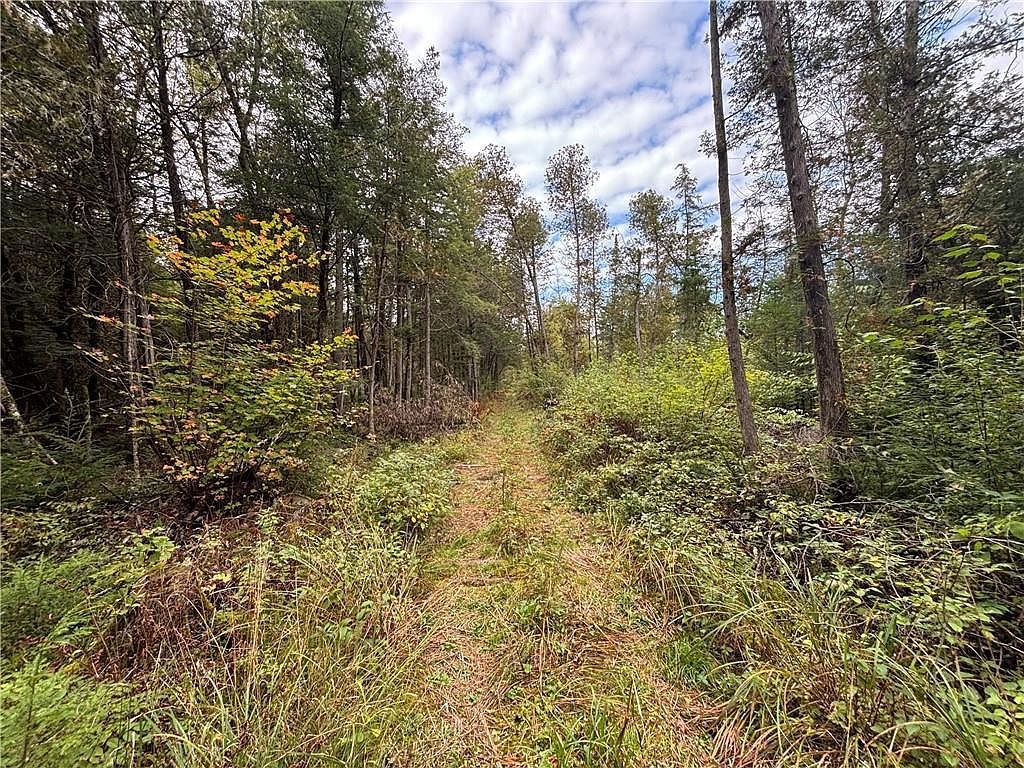 24514 State Highway 178 Cornell, WI 54732 - Thumbnail 5