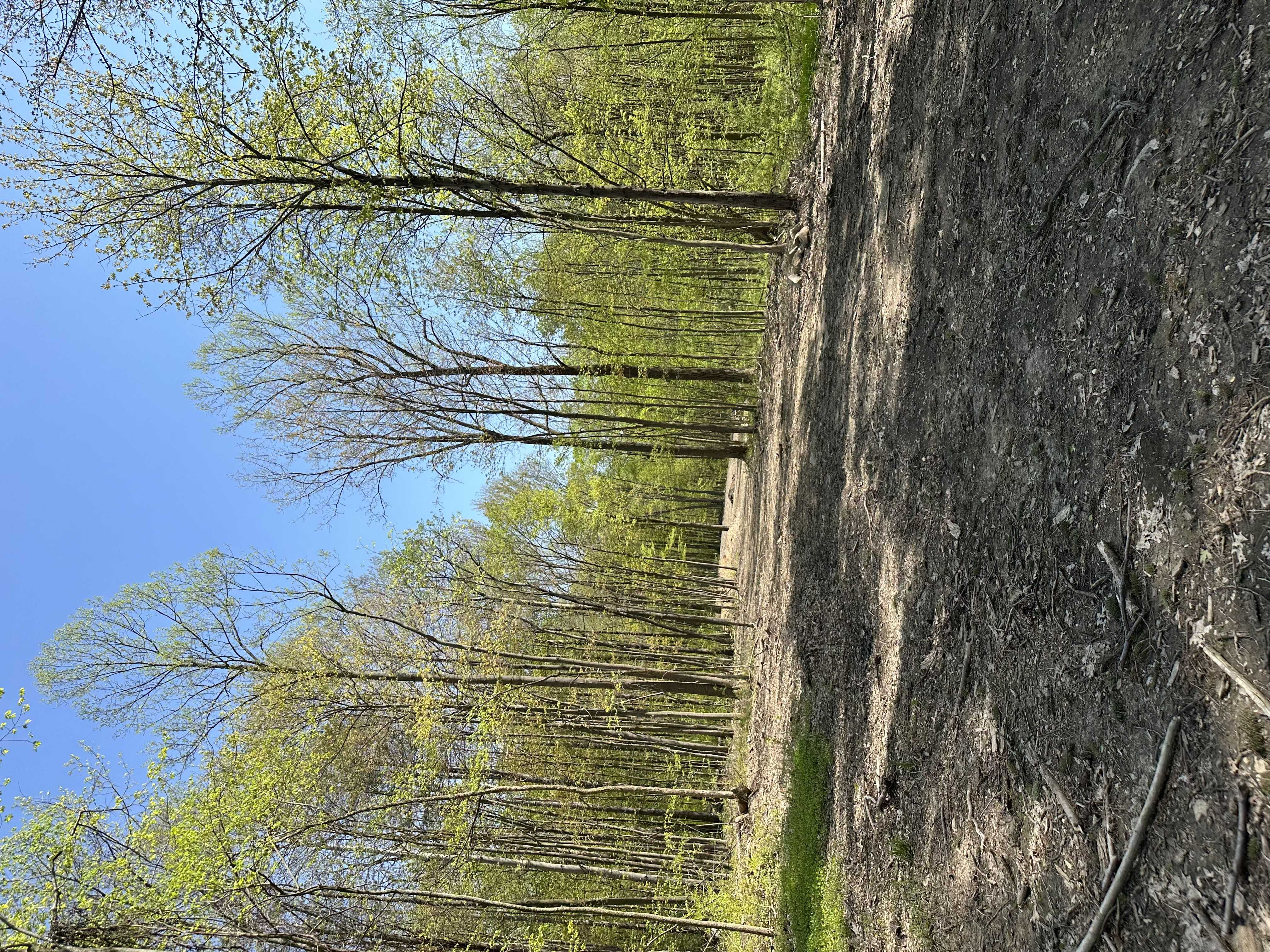 11611 Washington St, Chagrin Falls, OH, USA, 44023 - Thumbnail 5