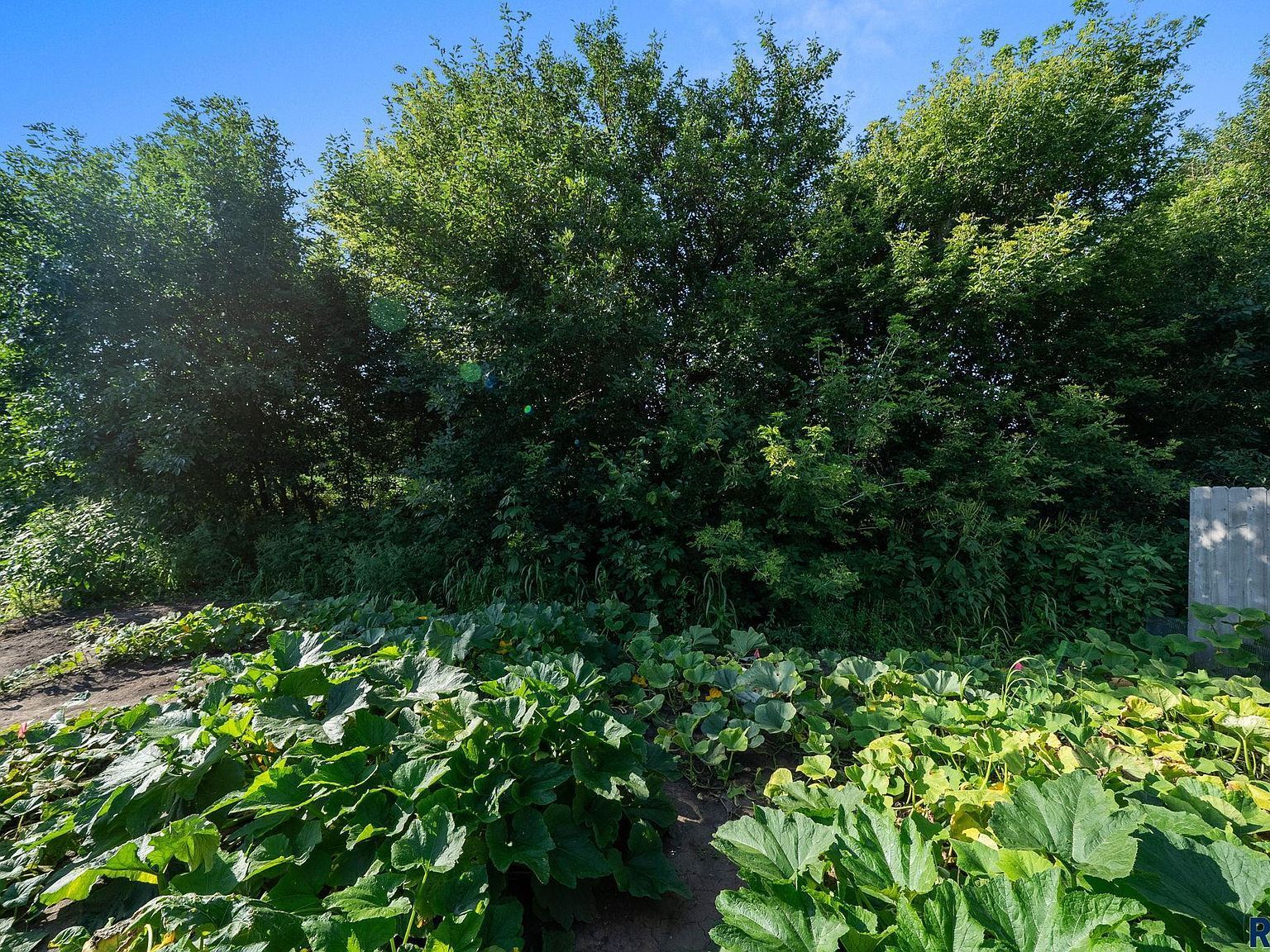 3313 E Chatham St Sioux Falls, SD 57108 - Thumbnail 5