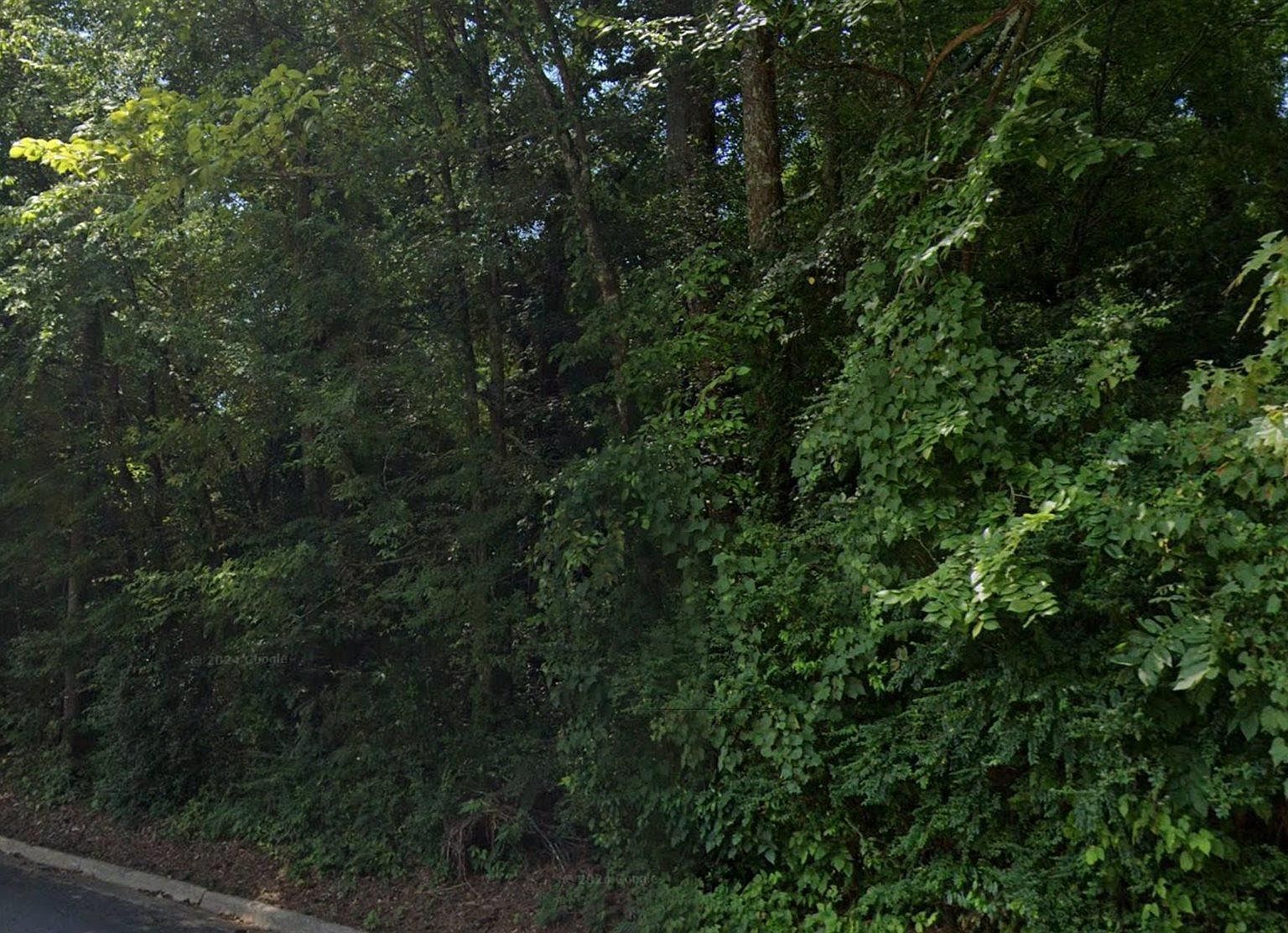 4.3 Keeling Rd Gadsden, AL 35903 - Thumbnail 5