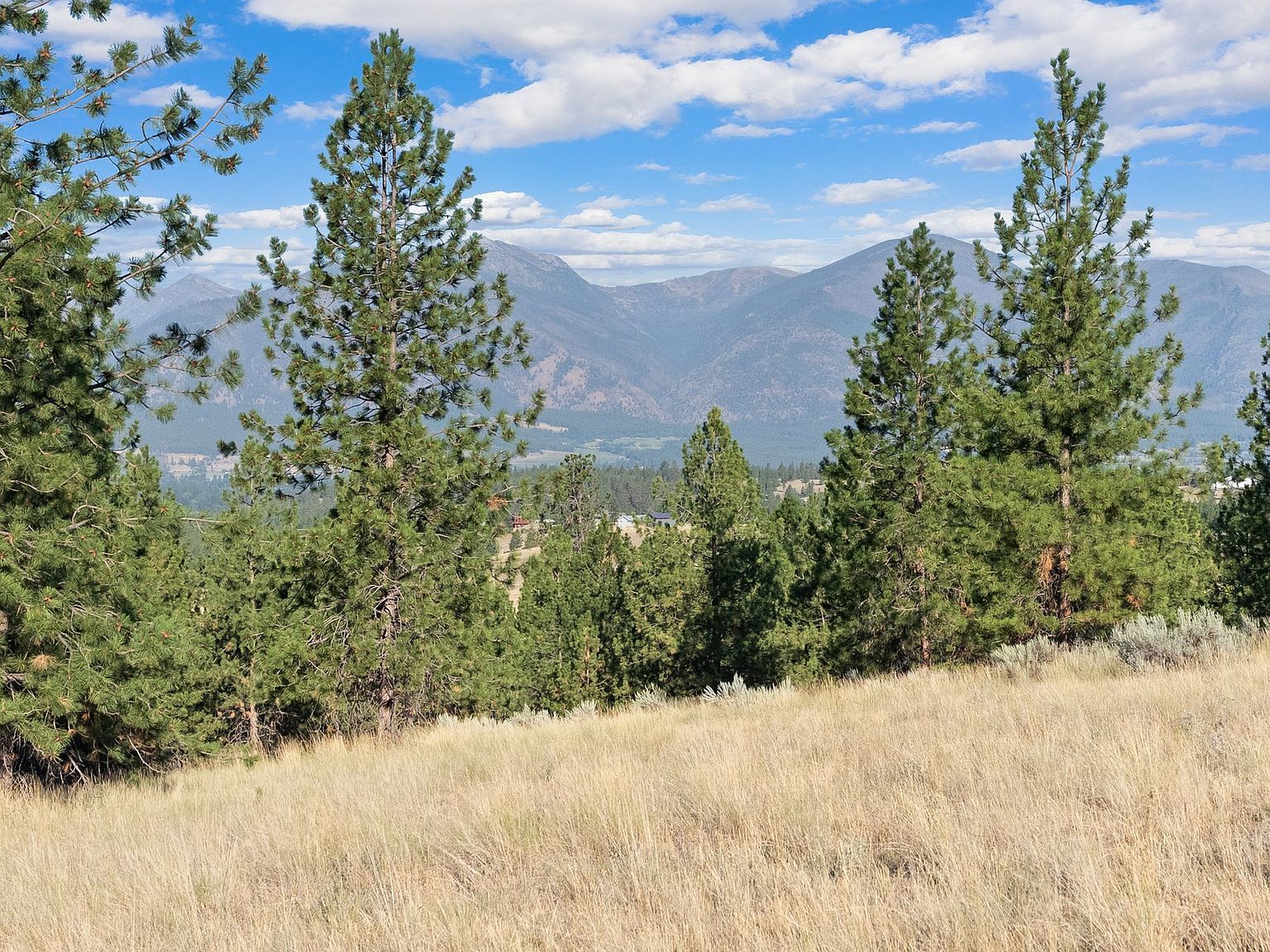 Nhn Stans Way Stevensville, MT 59870 - Thumbnail 5