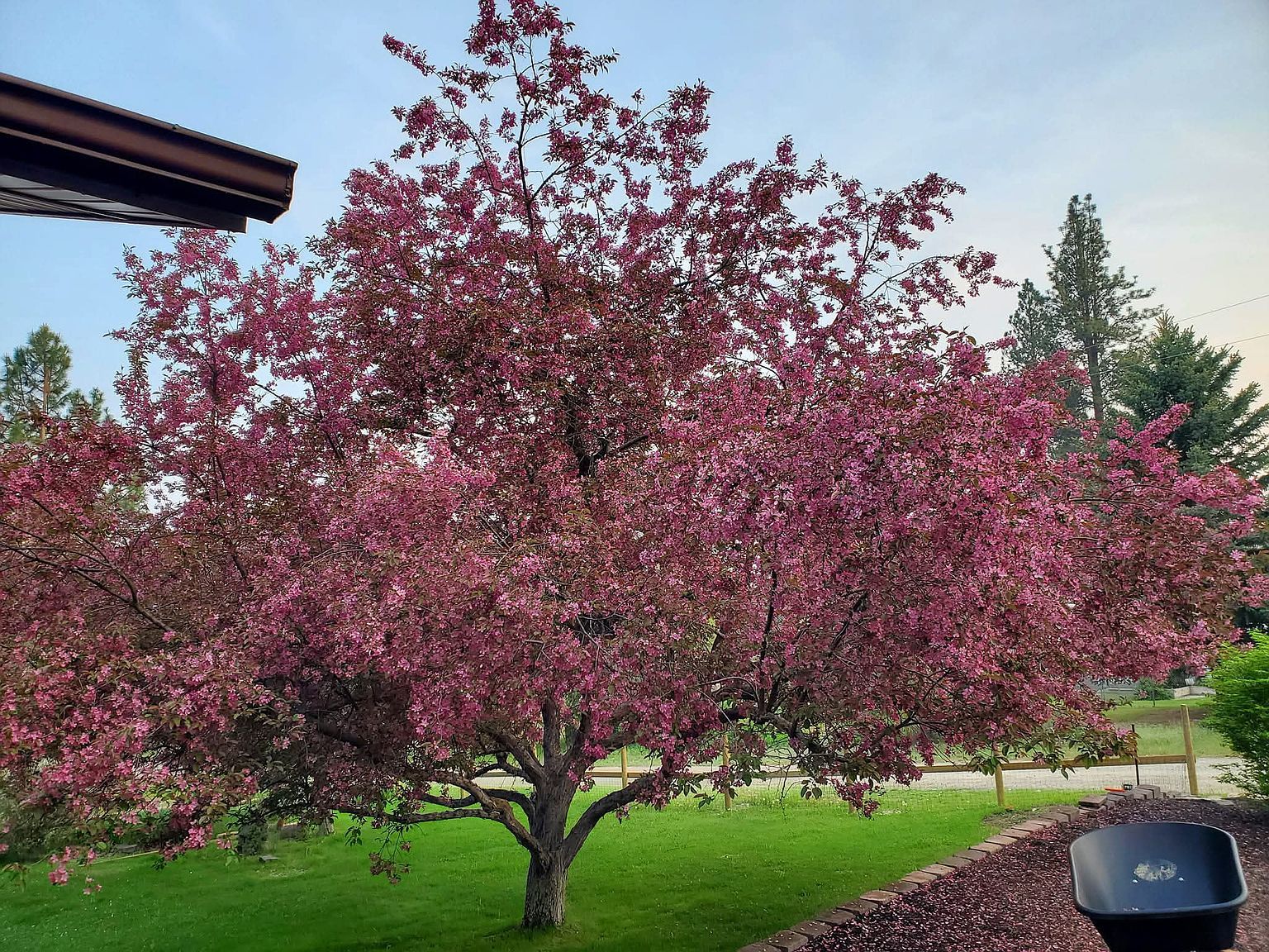 111 Tara Ln Stevensville, MT 59870 - Thumbnail 5