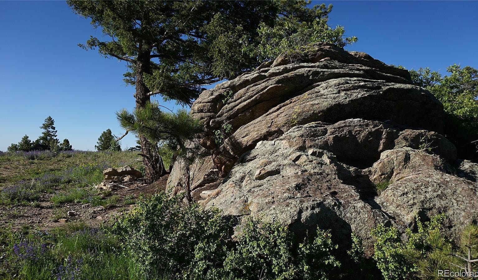 13864 N Trail Cir Littleton, CO 80127 - Thumbnail 5