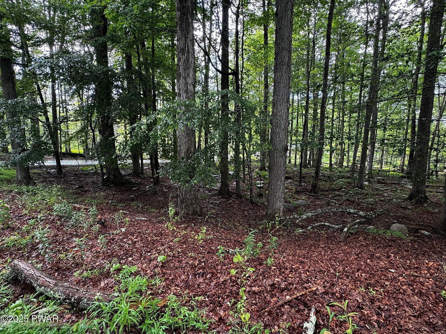 101 Elm Ln Greentown, PA 18426 - Thumbnail 5