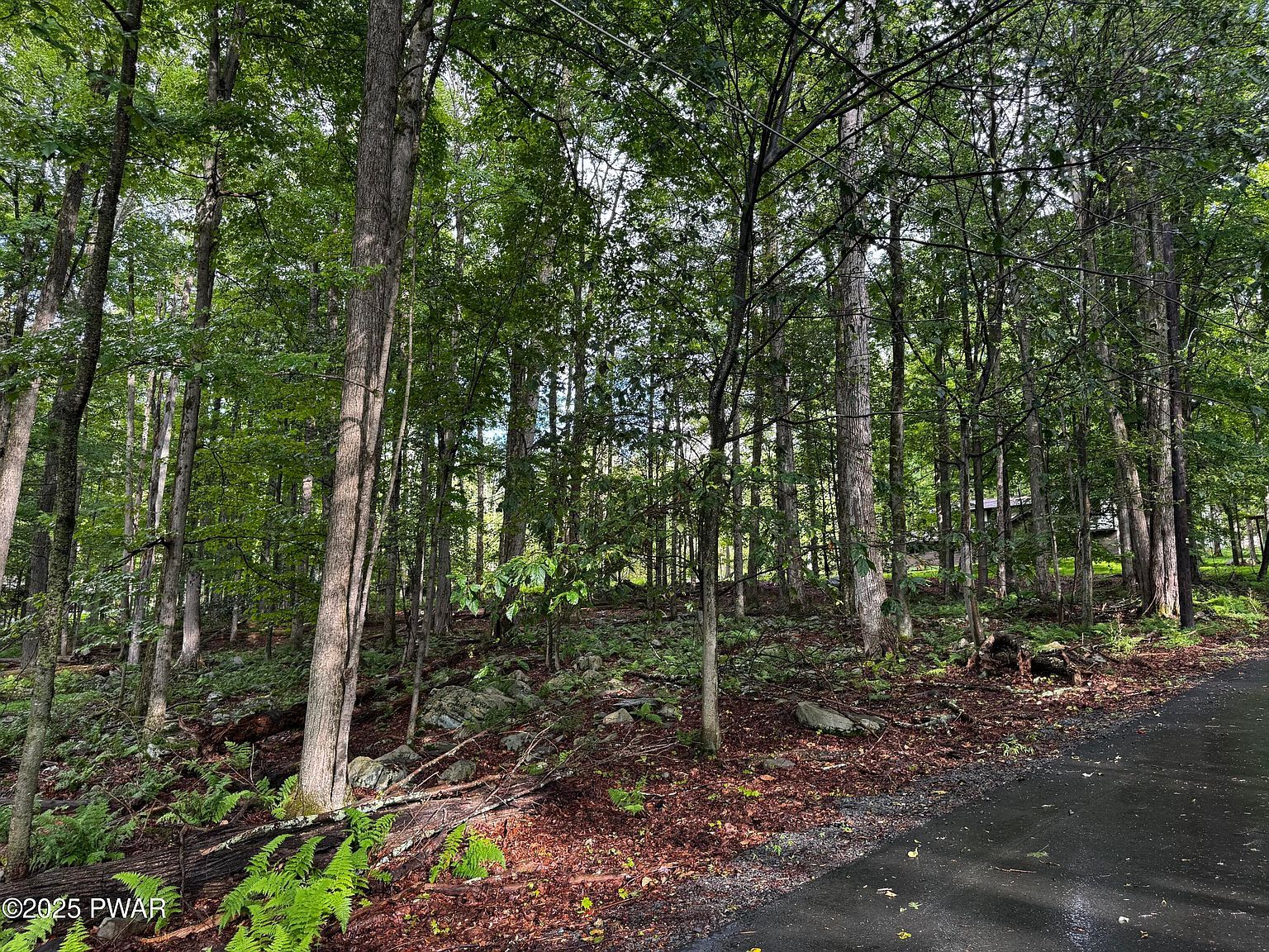 103 Elm Ln Greentown, PA 18426 - Thumbnail 5