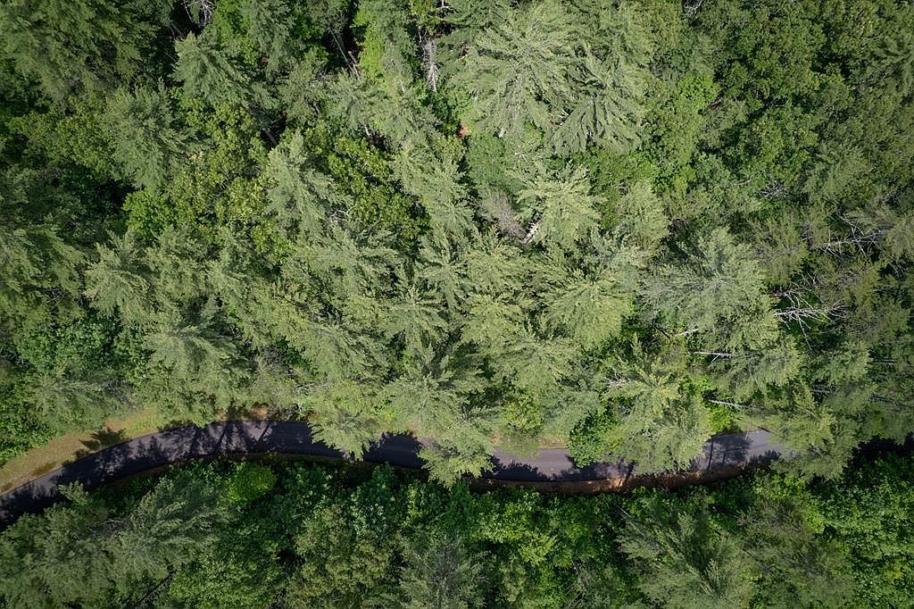 11 Bear Cove At Fires Crk Hayesville, NC 28904 - Thumbnail 5