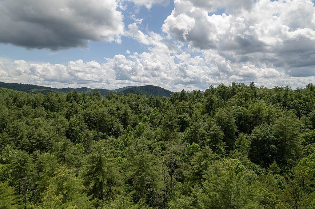 Spectacular Blvd Hayesville, NC 28904 - Thumbnail 5