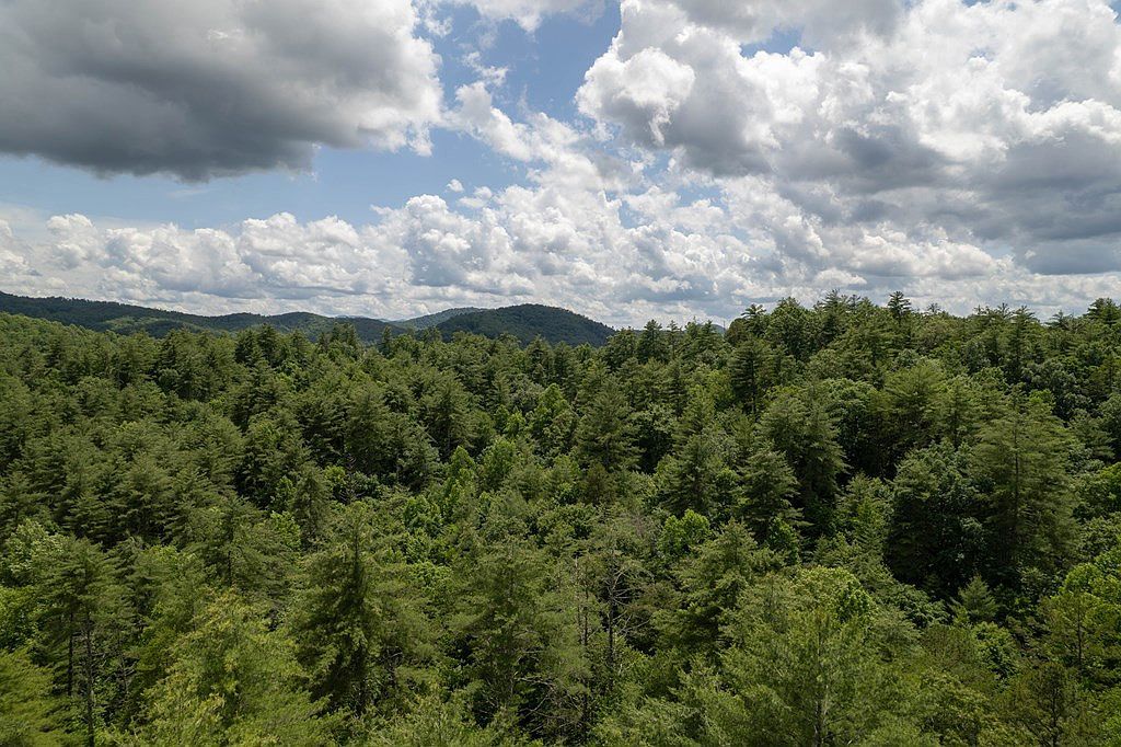 Spectacular Blvd Lot 11 Hayesville, NC 28904 - Thumbnail 5