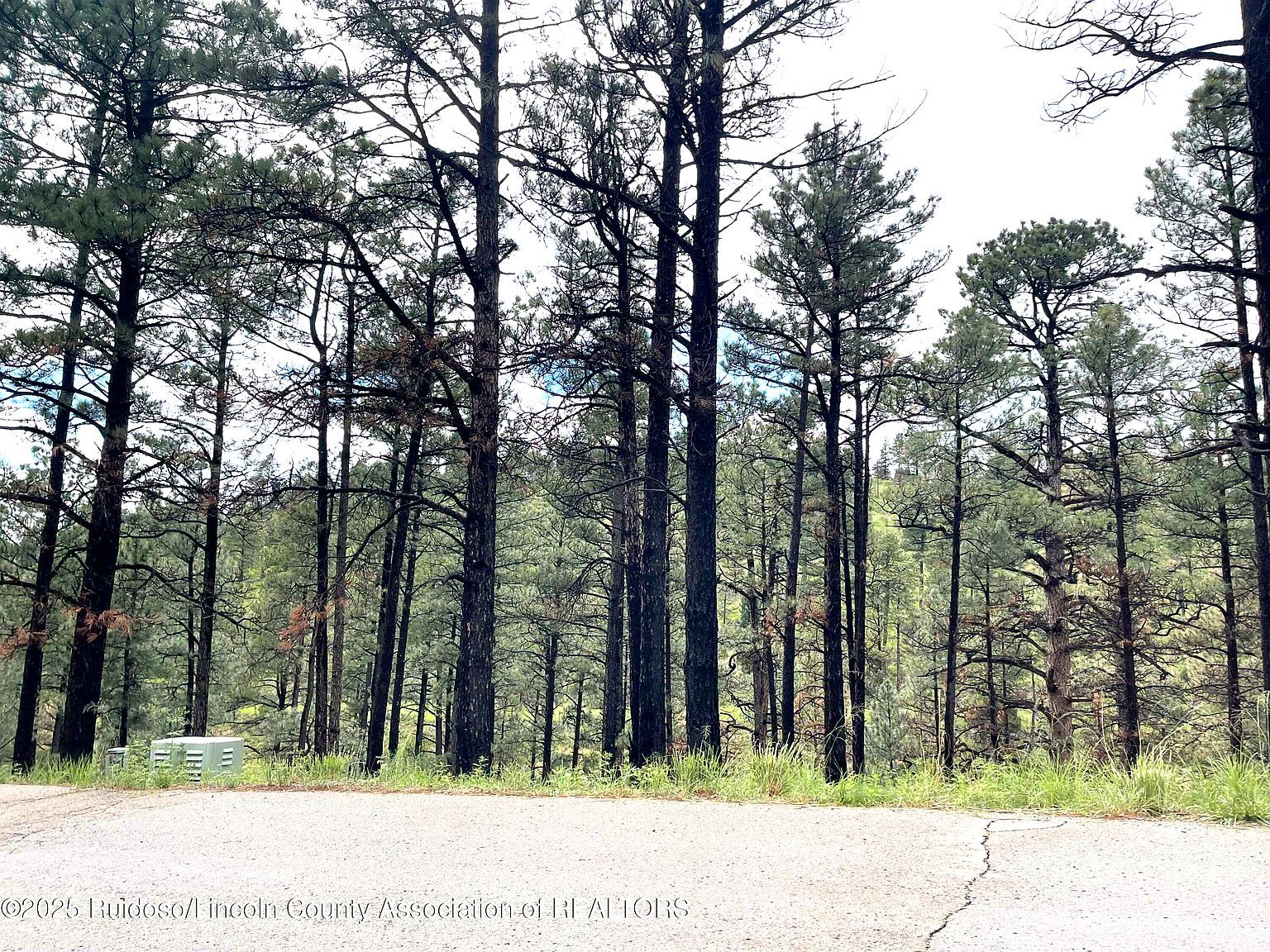 LOT 12 Brentwood Dr Alto, NM 88312 - Thumbnail 5