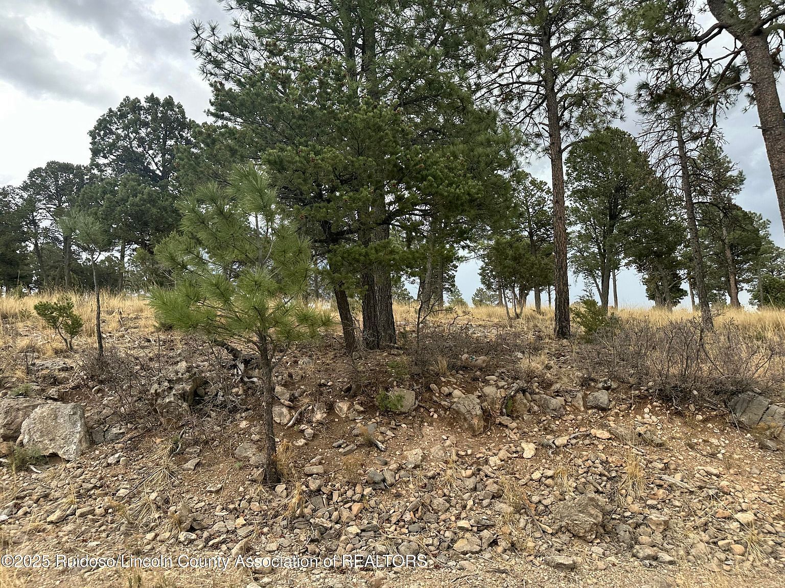 100 Avalon Ct, Ruidoso, NM, 88345 - Thumbnail 5