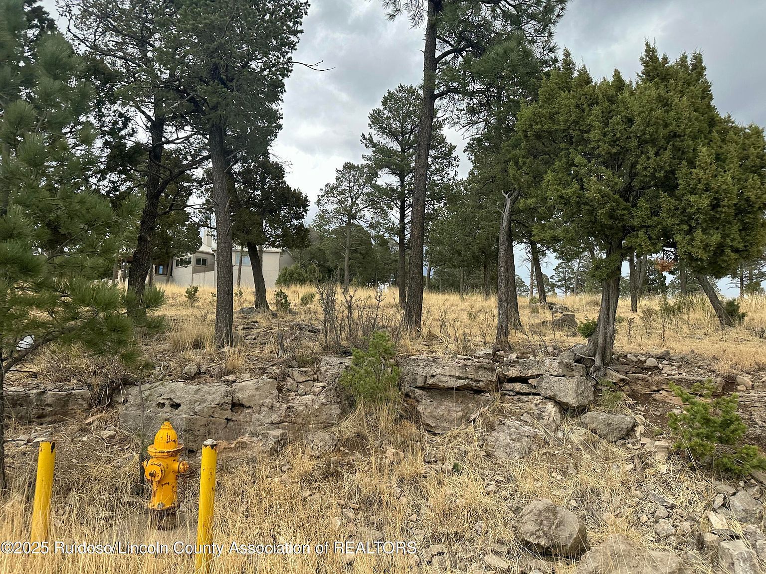 102 Avalon Ct Ruidoso, NM 88345 - Thumbnail 5