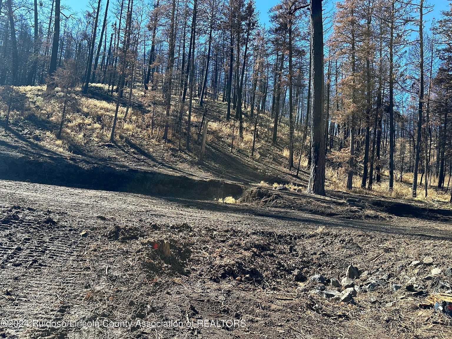 165 Jarratt Loop Ruidoso, NM 88345 - Thumbnail 5