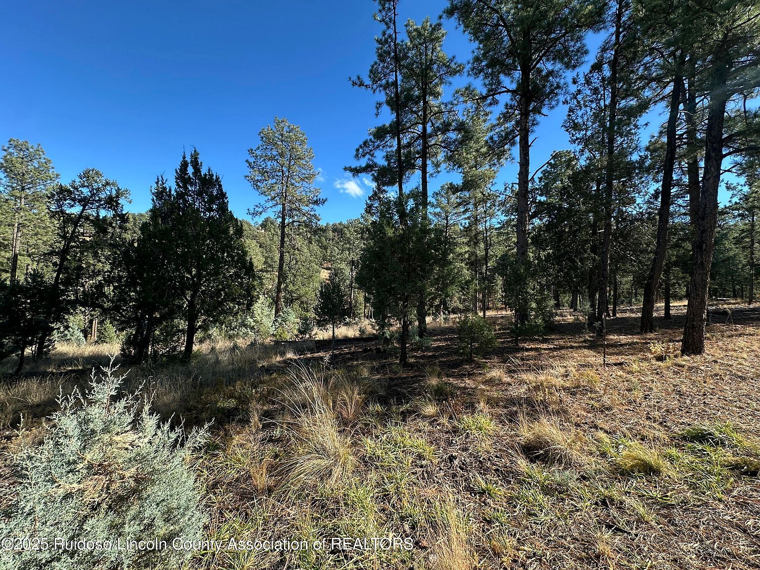 152 Del Monte Dr Alto, NM 88312 - Thumbnail 5