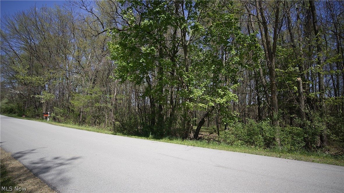 Mohican Trl Negley, OH 44441 - Thumbnail 5