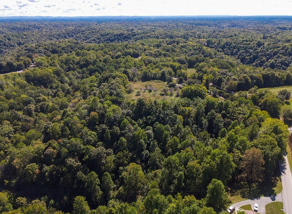 0 NE New Salem Rd Gainesboro, TN 38562 - Thumbnail 5