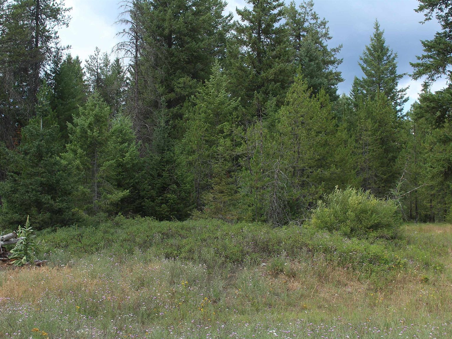 1XX Tennant Rd Newport, WA 99156 - Thumbnail 5