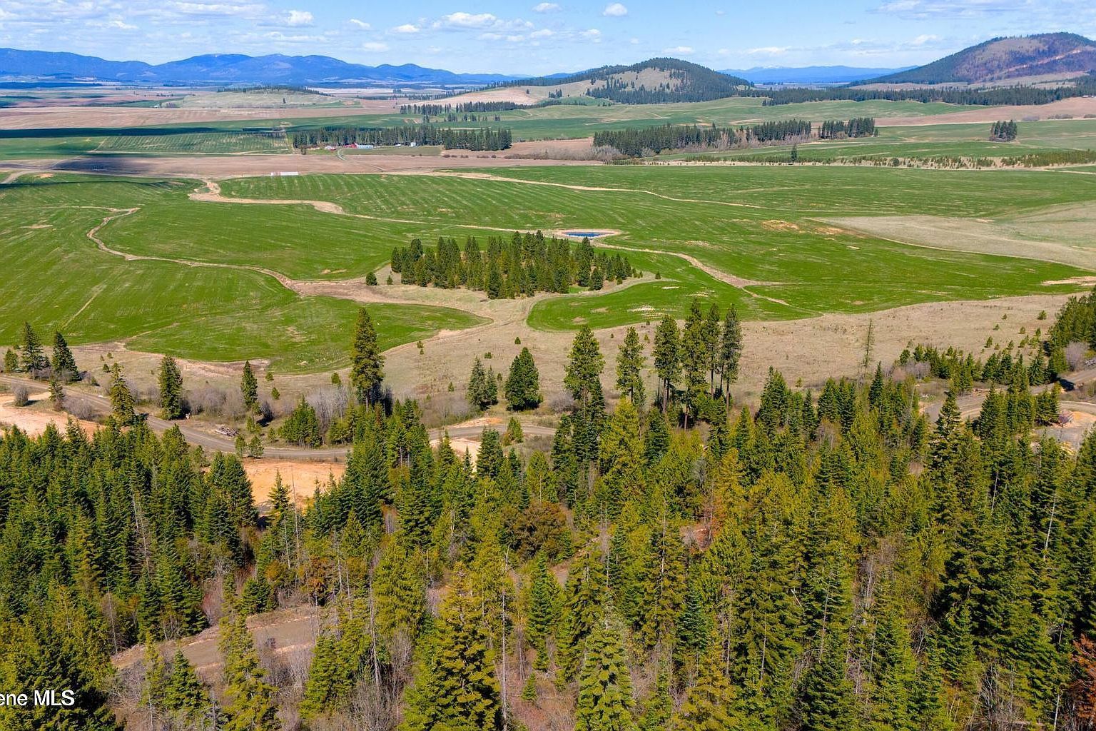 10 Moose Dr Plummer, ID 83851 - Thumbnail 5