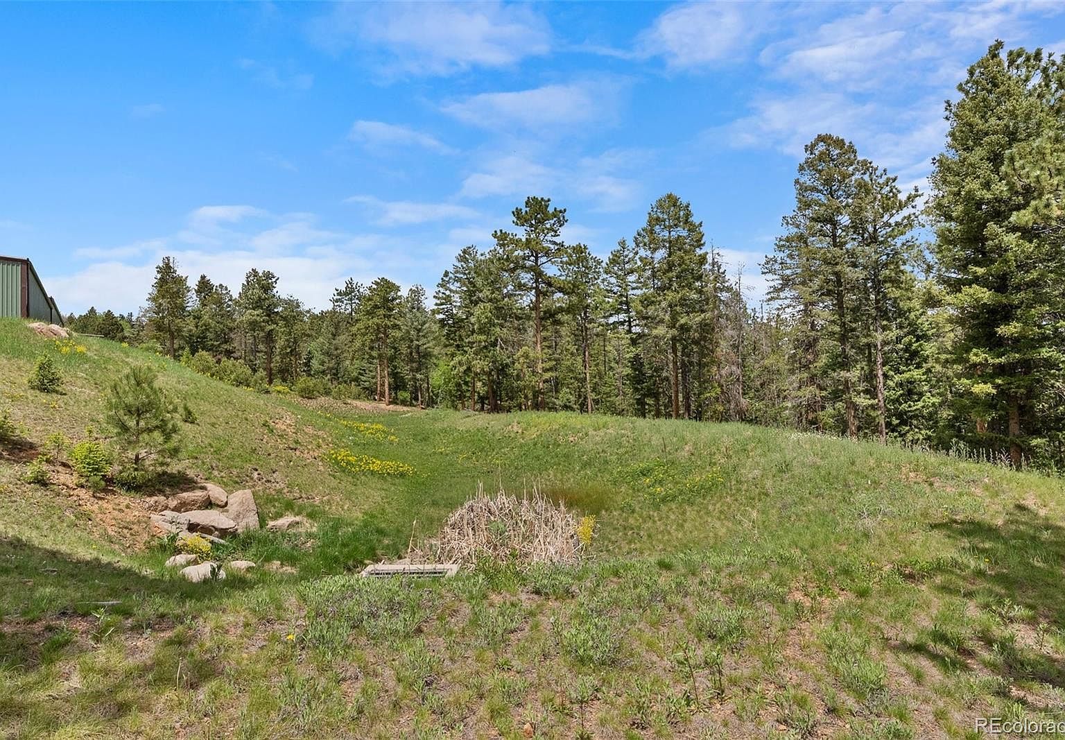 11040 Kitty Dr Conifer, CO 80433 - Thumbnail 5