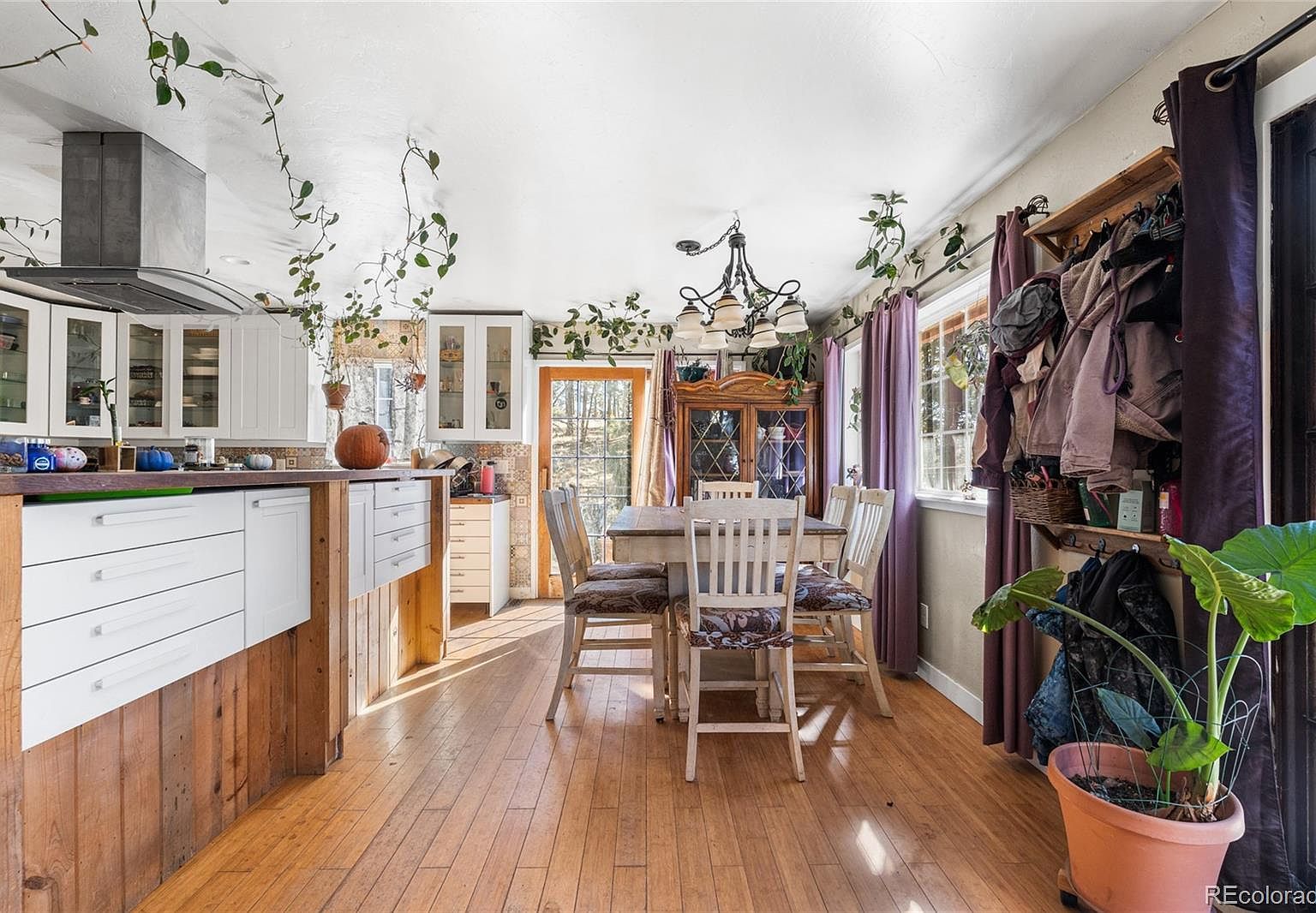 947 Sleepy Hollow Dr Bailey, CO 80421 - Thumbnail 5