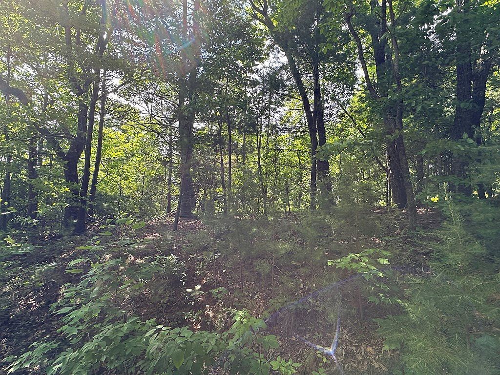 Lot 31 Peak Trail LOT 31 Murphy, NC 28906 - Thumbnail 5