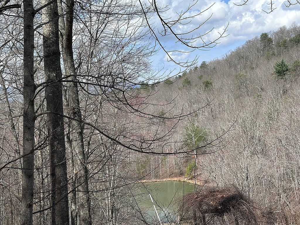 Tbd Pack Mountain Road Murphy, NC 28906 - Thumbnail 5