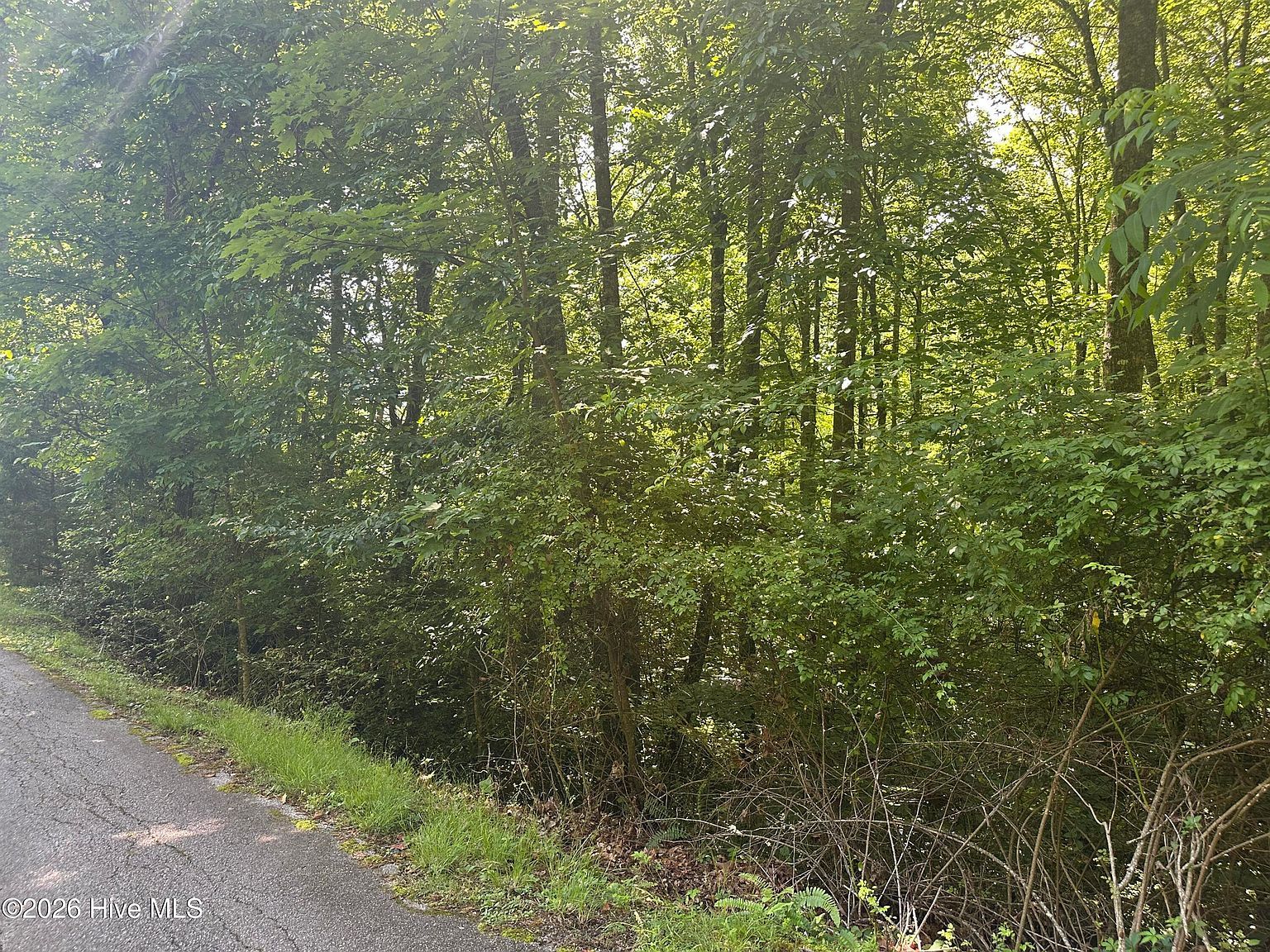 6 Bartram Trail Road Franklin, NC 28734 - Thumbnail 5