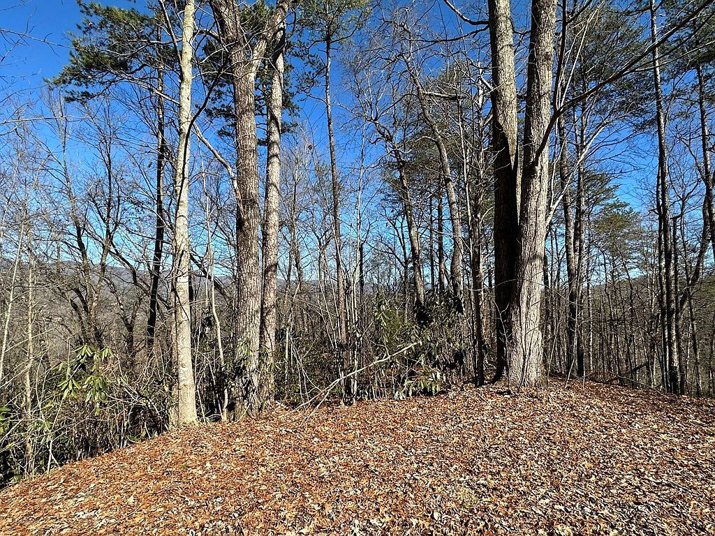 (Undisclosed Address) Marble, NC 28905 - Thumbnail 5