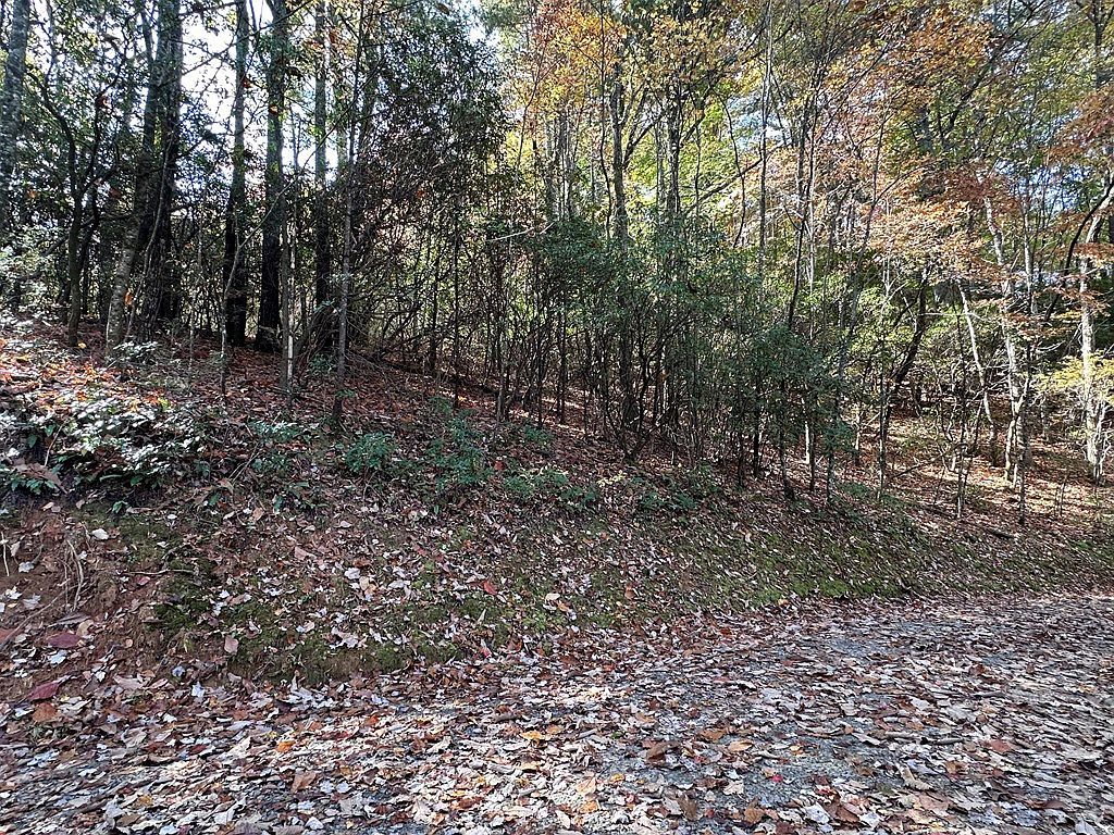 Atoah Loop Murphy, NC 28906 - Thumbnail 5