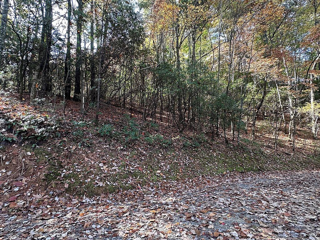 Lot 5&8 Indian Rock Springs Subdivisio Murphy, NC 28906 - Thumbnail 5
