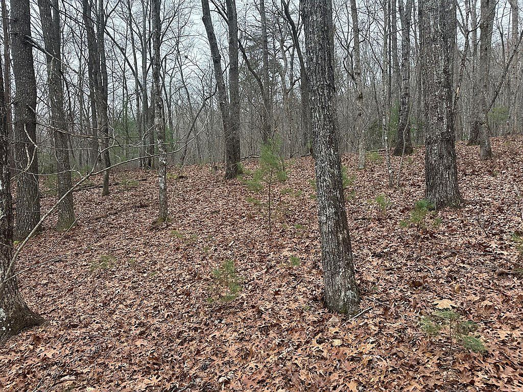 00 Marrestop Murphy, NC 28906 - Thumbnail 5