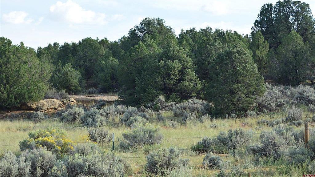County Road 109 Hesperus, CO 81326 - Thumbnail 5