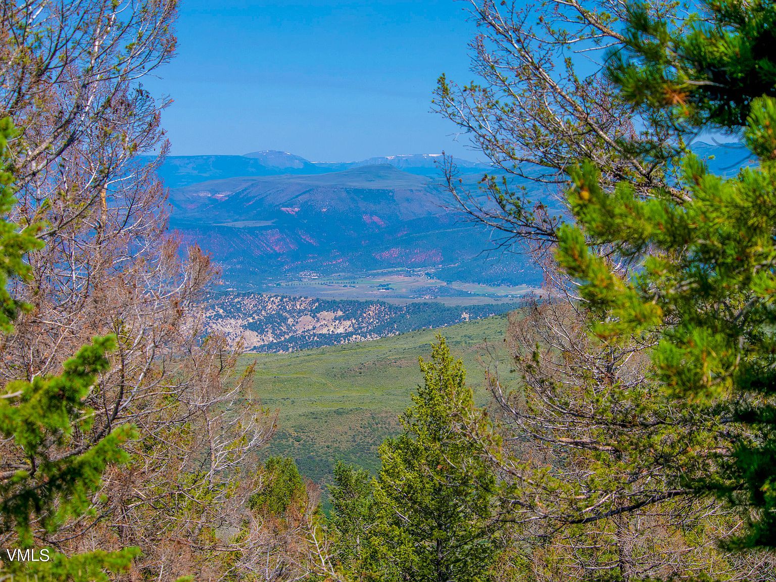 907 Webb Peak Edwards, CO 81632 - Thumbnail 5