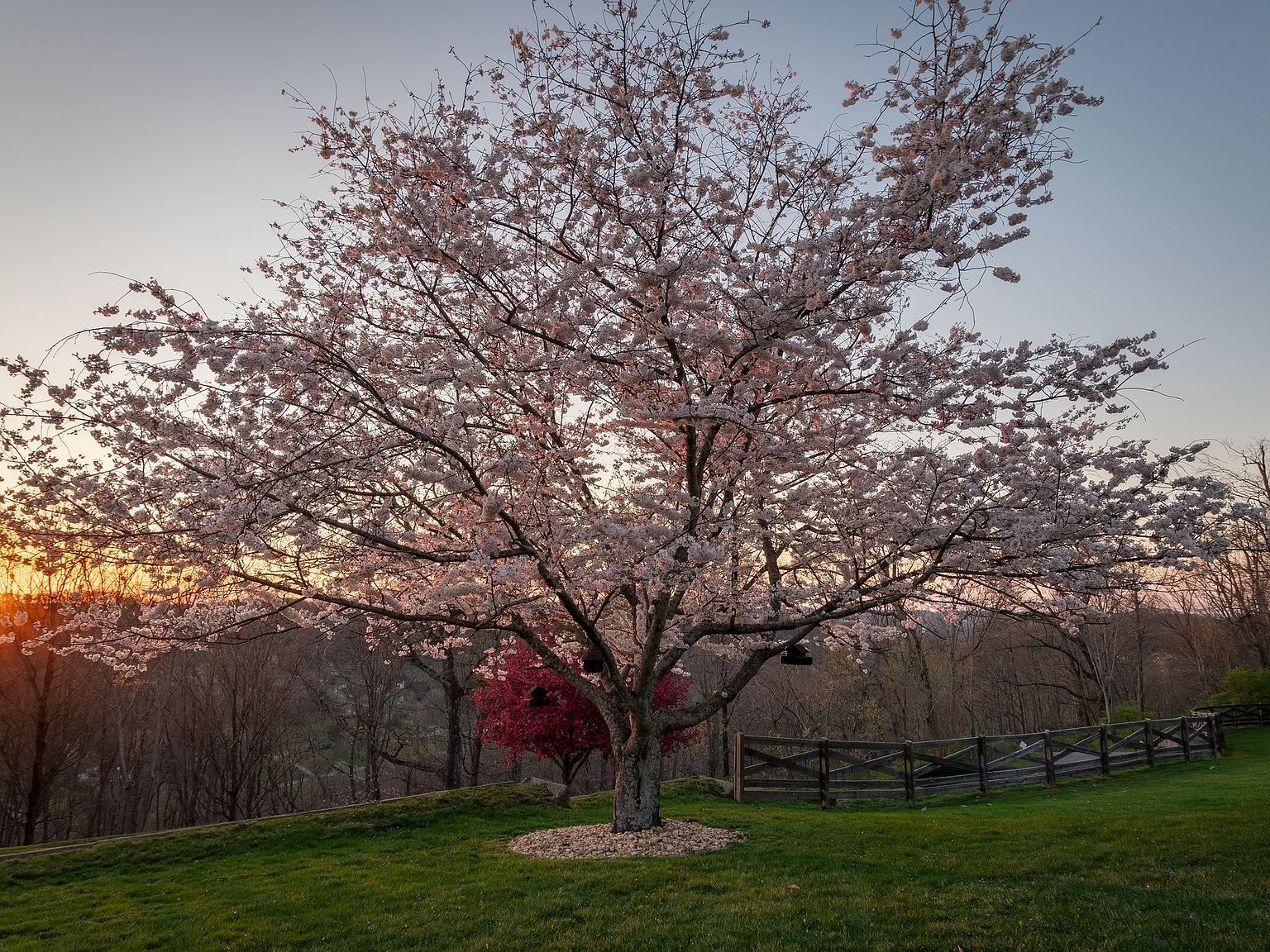 720 Valhalla Ln Brentwood, TN 37027 - Thumbnail 5