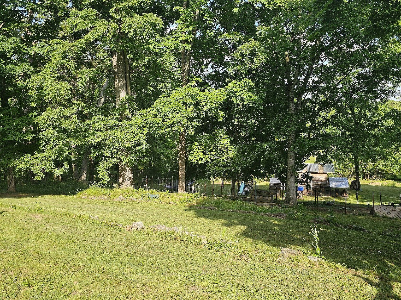 201 Shelbyville Mills Rd Shelbyville, TN 37160 - Thumbnail 5