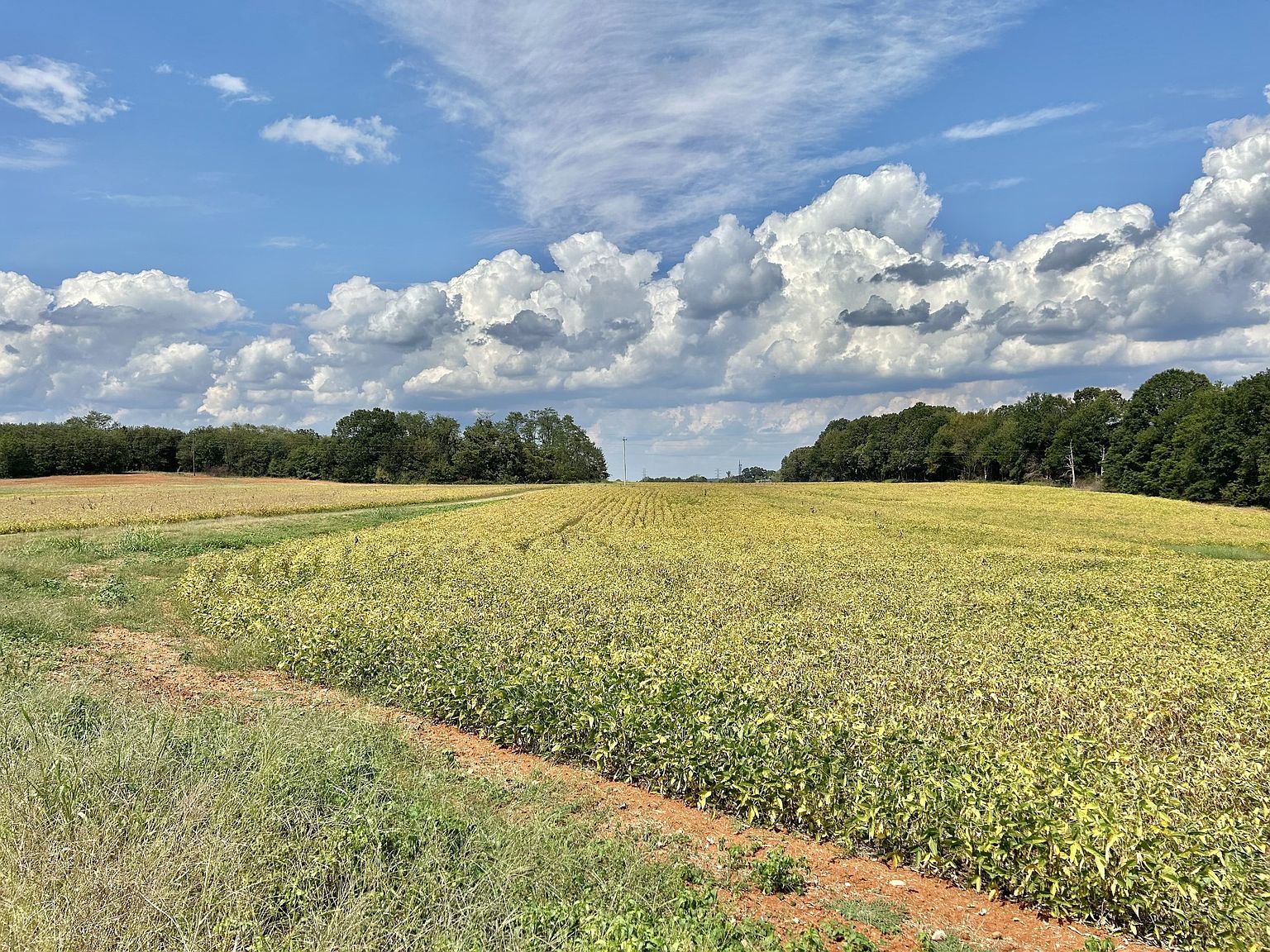 0 Nor Nan Rd Winchester, TN 37398 - Thumbnail 5