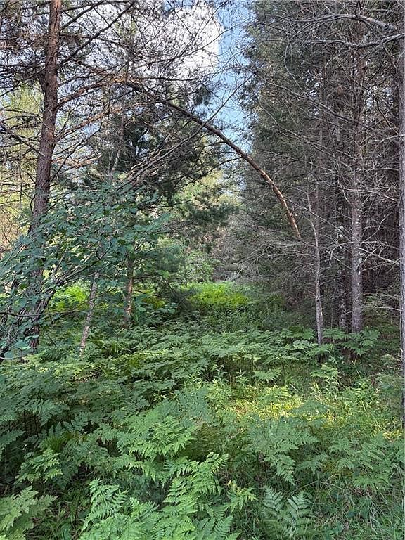 0 Tagalder Trl Hayward, WI 54843 - Thumbnail 5