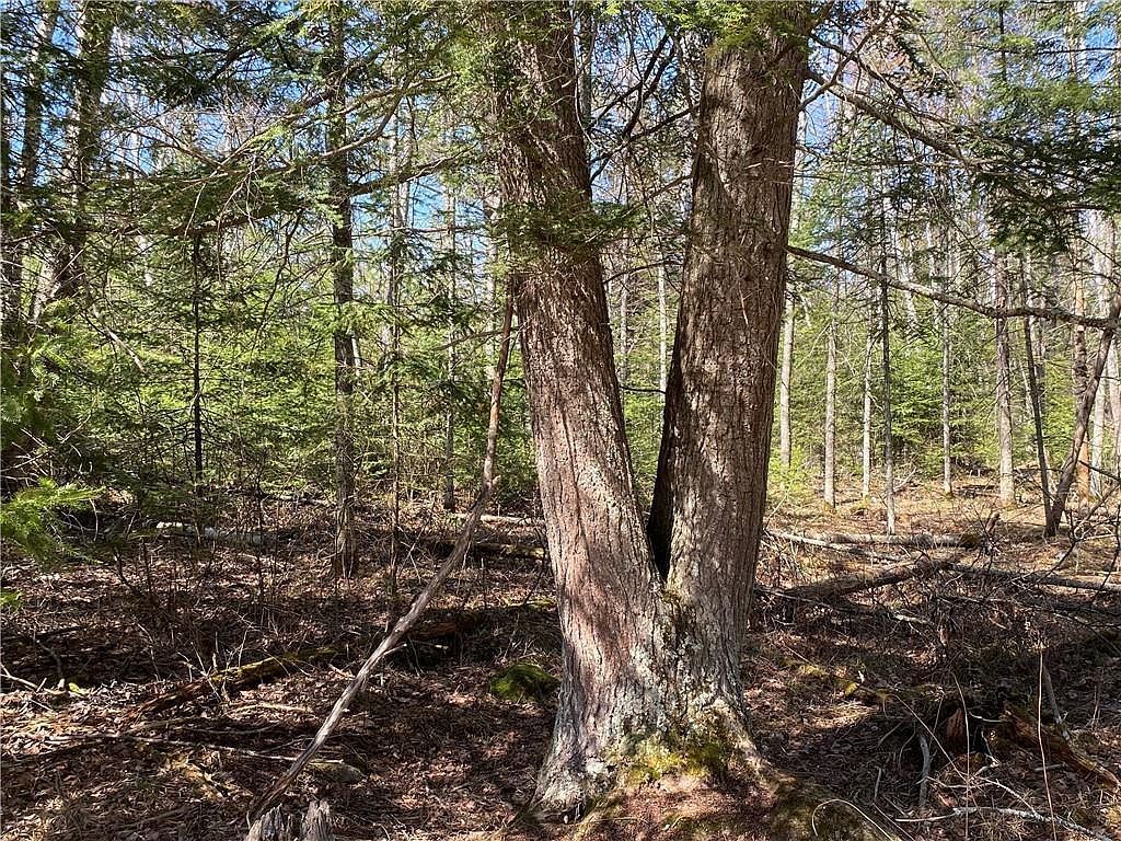 0 N Clover Road Blaisdell Ct Winter, WI 54896 - Thumbnail 5