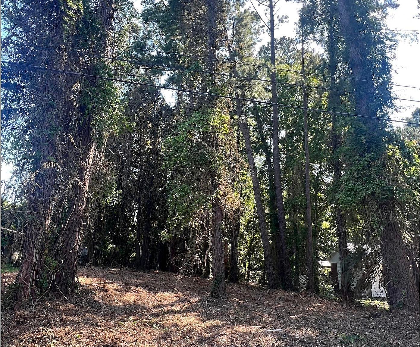 1229 Park Hill Dr Conway, SC 29526 - Thumbnail 5