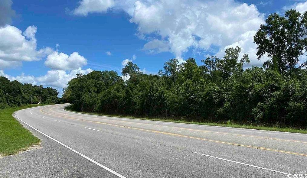 378 Tbd Hwy Conway, SC 29527 - Thumbnail 5