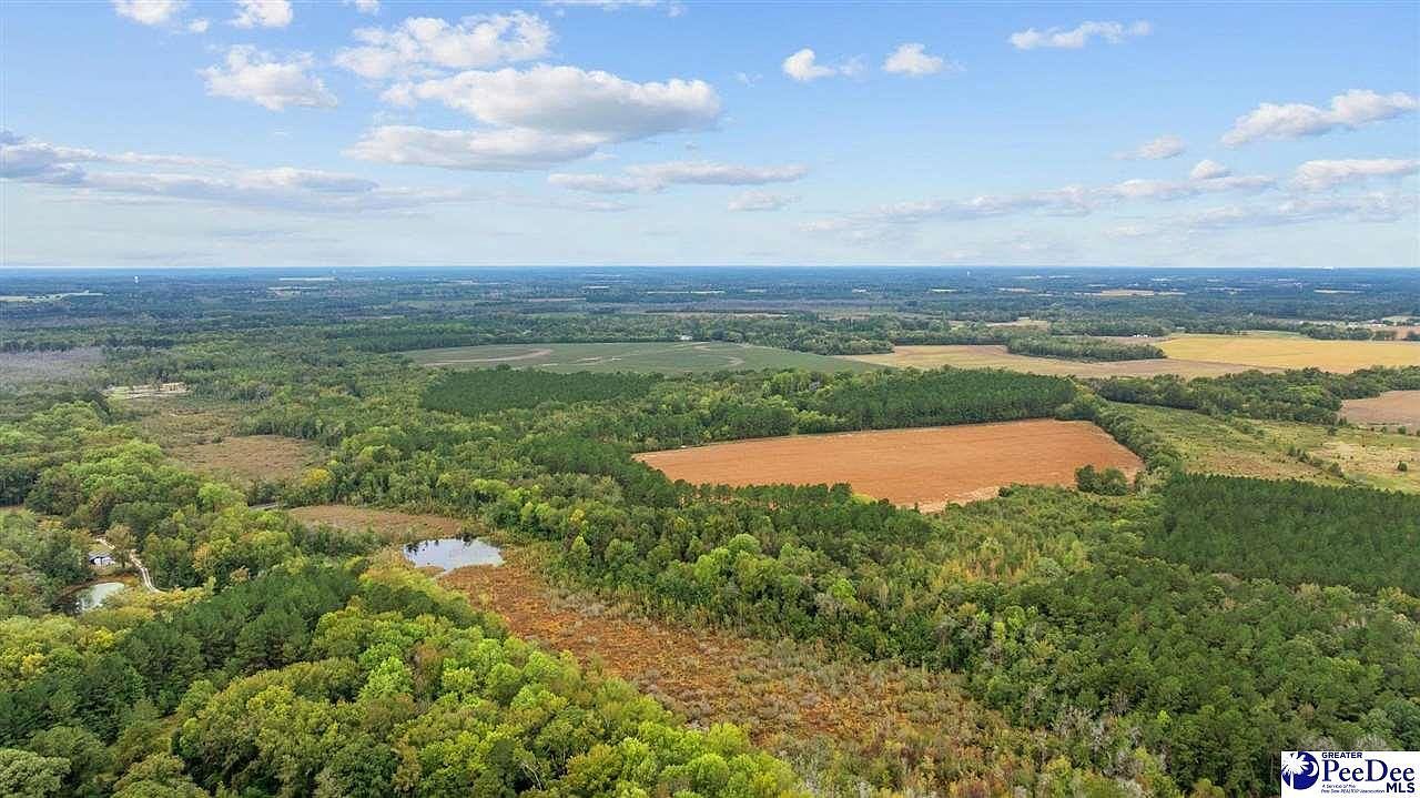 Beverly Creek Rd Bennettsville, SC 29512 - Thumbnail 5