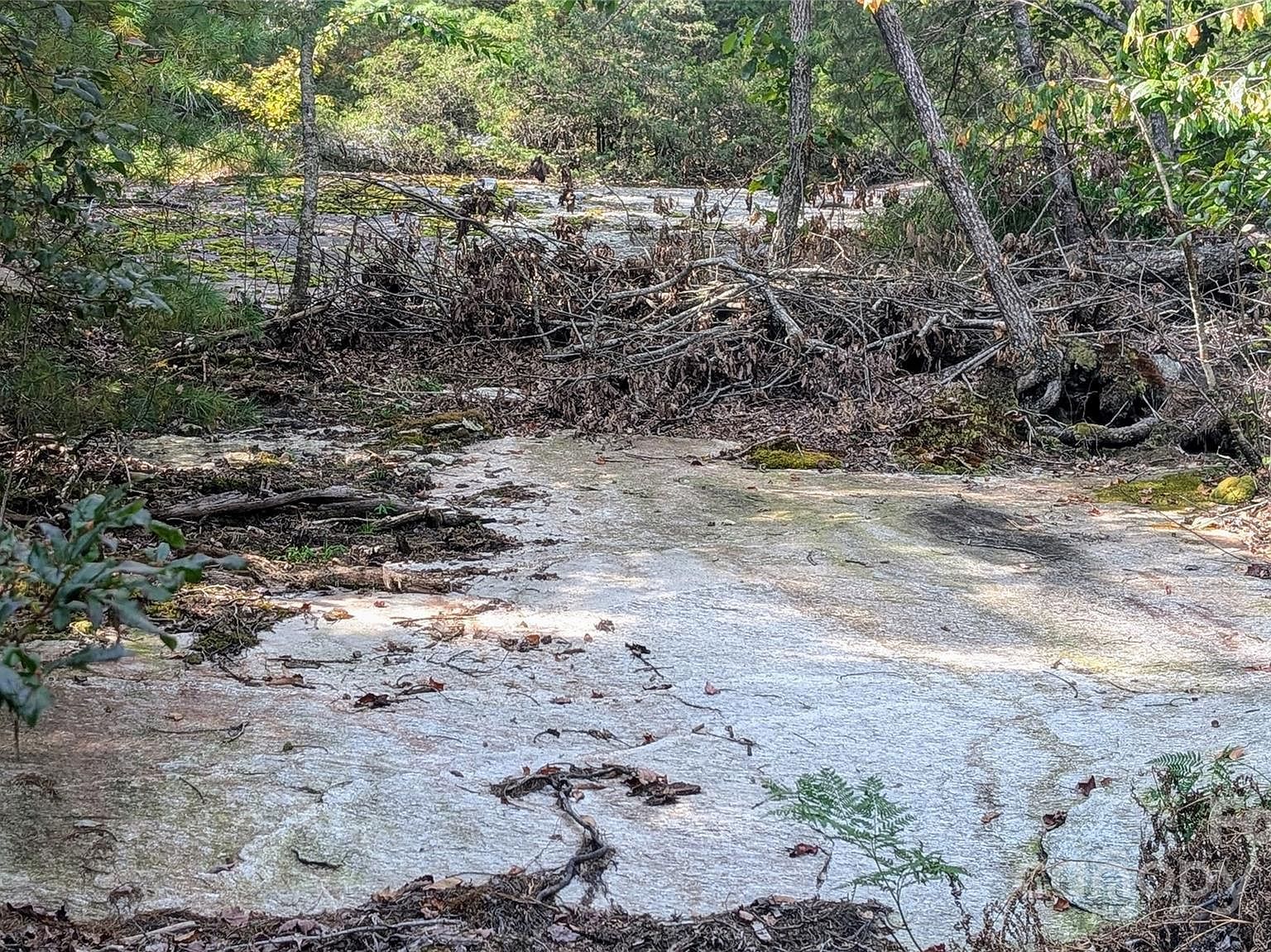 101 Scenic Dr #74 Flat Rock, NC 28731 - Thumbnail 5