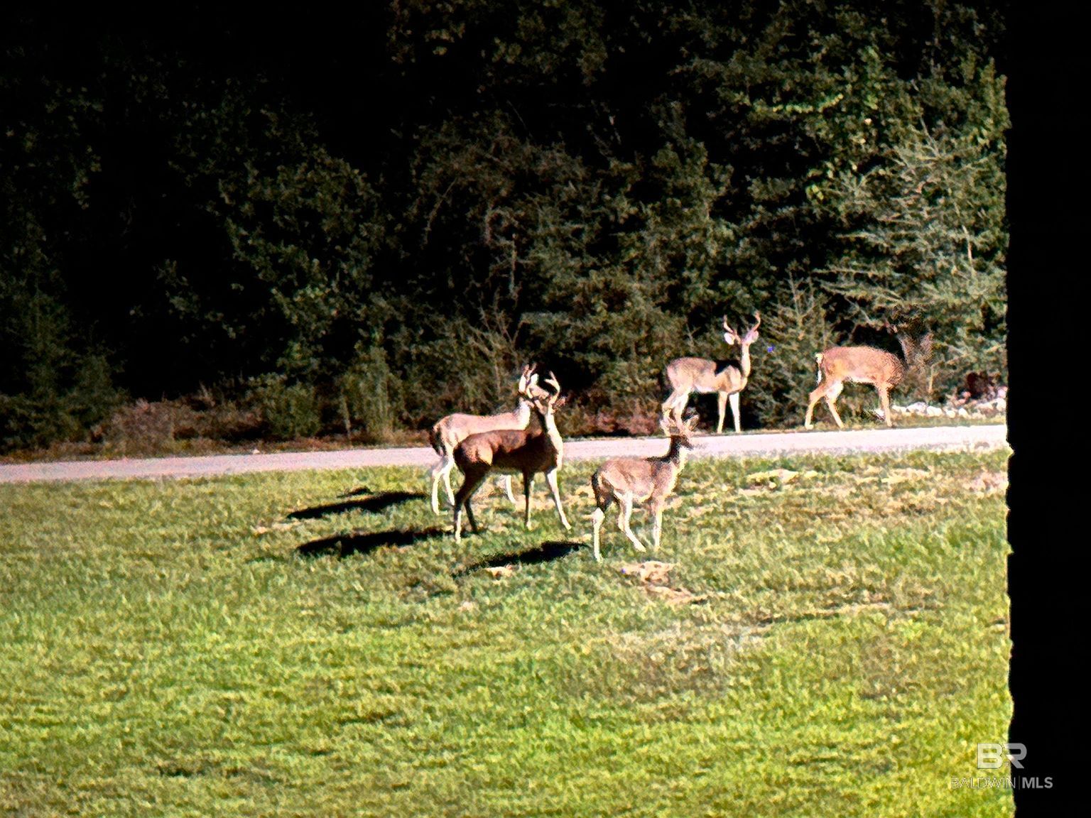 Steelwood Ridge Rd #8 Loxley, AL 36551 - Thumbnail 5