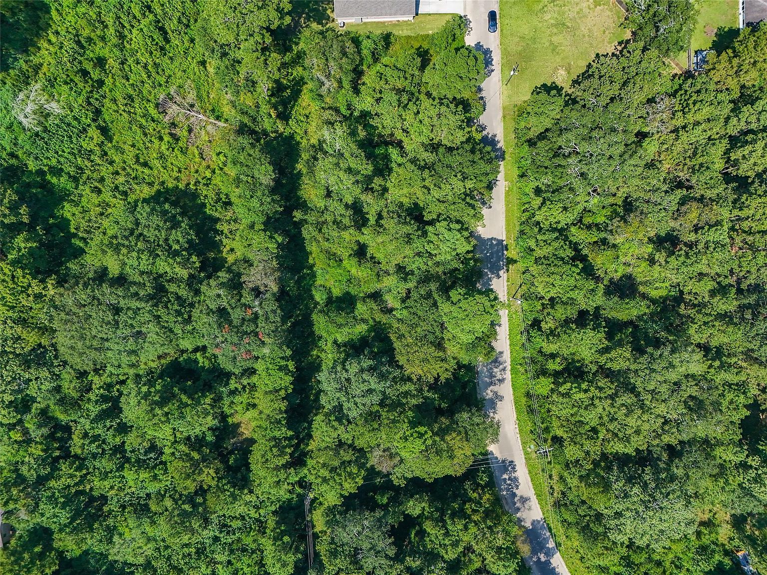 LOT 16 Hickory Ln LOT 16 Splendora, TX 77372 - Thumbnail 5